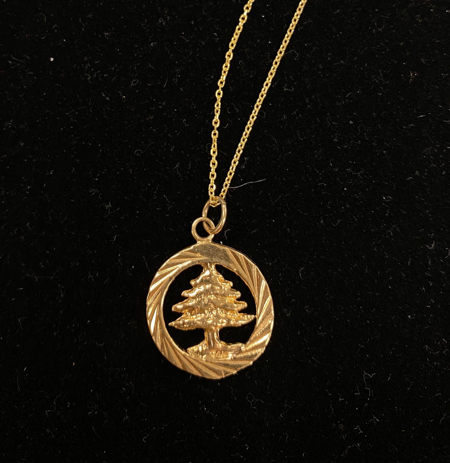 Lebanon Cedar Pendant