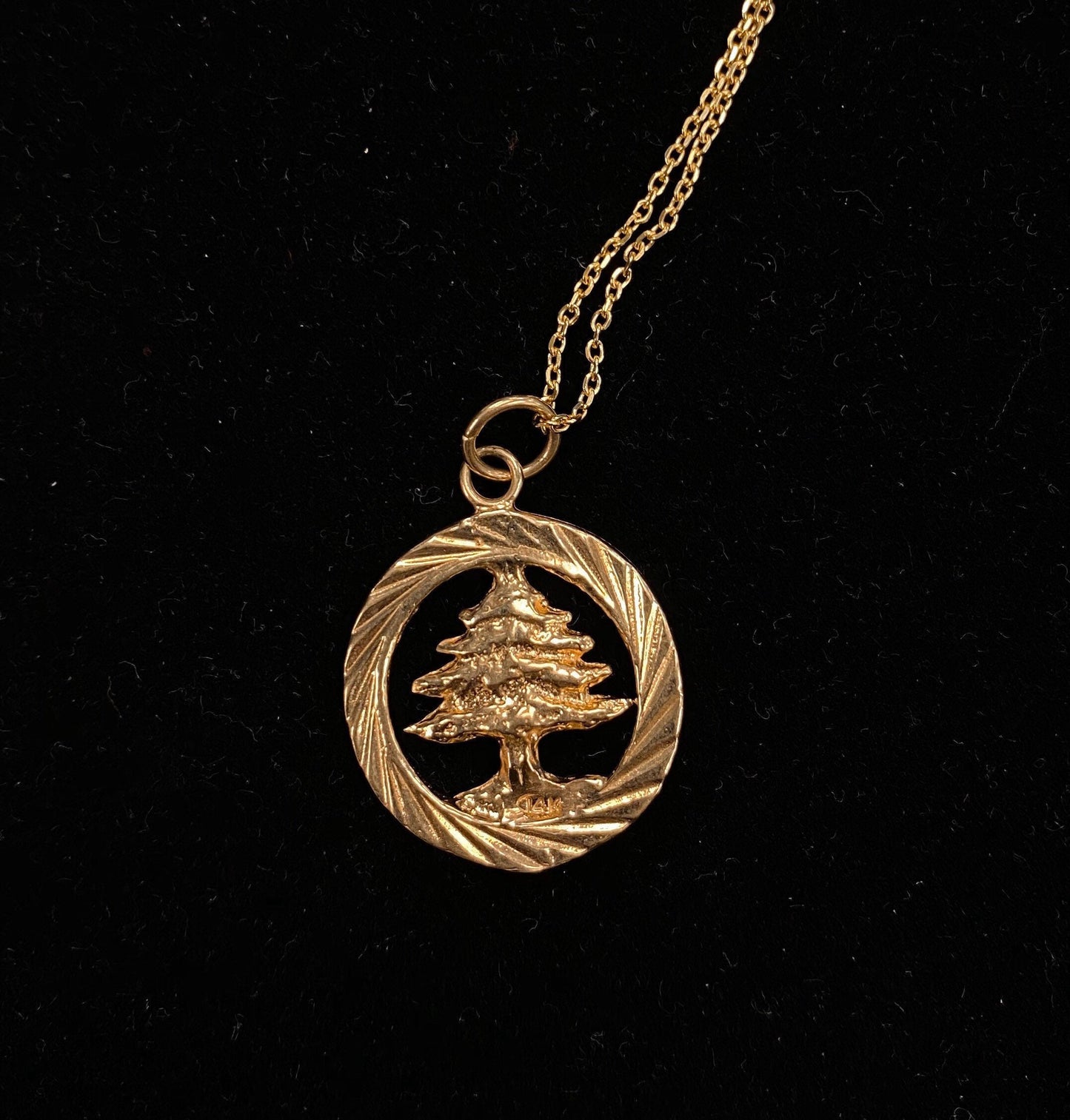 Lebanon Cedar Pendant